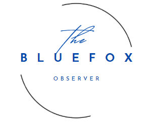 Blue Fox Observer